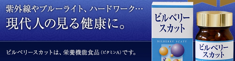 �r���x���[�X�J�b�g���T�C�g